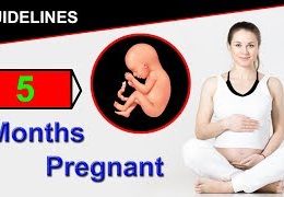 Normal Symptoms of Pregnancy and Baby Growth in the Fifth Month of Pregnancy
