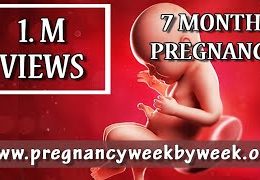 7 Month Pregnancy. What Happens In Thıs Month?